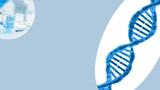 [10628ES72] CleaScrip™ T7 RNA Polymerase (low dsRNA, 250 U/μL) - 250 KU